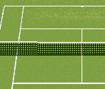 Grass Court