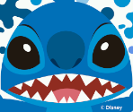 Stitch & Company