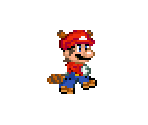 Fire & Raccoon Mario
