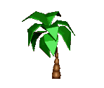 Palm Tree