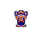 Wario (Super Mario Bros. 2 NES-Style)