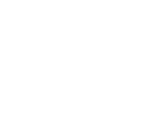 Fonts