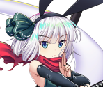 Youmu Konpaku (Bunny Ninja Spirit)