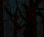 Haunted Forest Background