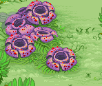 Rafflesia Planet Scene