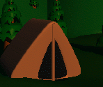 Field Trip (Camping)