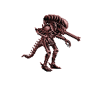 Alien Warrior