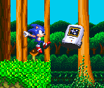 Sonic 3 Monitor Rotation
