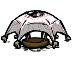 Eyebrella