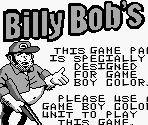 Game Boy Error Message