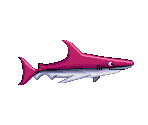 Shark (Sonic Rush Adventure, Genesis-Style)