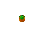 Unused Cactus