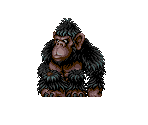 Gorilla