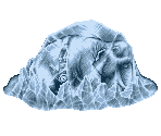Frozen Elephant