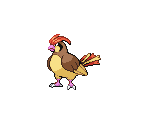 #017 Pidgeotto