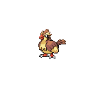 #016 Pidgey