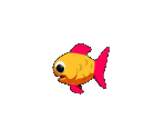 Medium Guppy