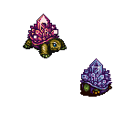 Conch & C. Kameo