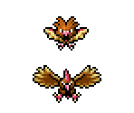 Spearow & Fearow