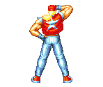 Terry Bogard