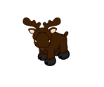 Moose