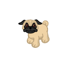 Pug