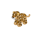 Spotted Leopard