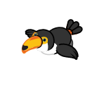 Toucan