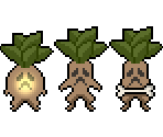 Mandrake