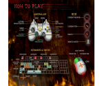 Controls Screen