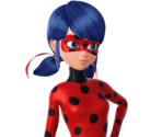 Ladybug