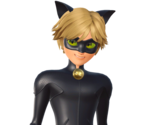 Cat Noir / Chat Noir