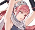 Cherche (Wyvern Ninja)