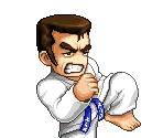 Karate Guy