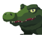 Alligator