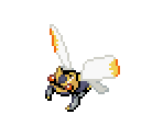 Ninjask