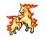 Ponyta & Rapidash