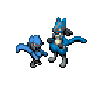 Riolu & Lucario