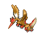 Spearow & Fearow