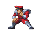 M. Bison