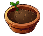 Flower Pot