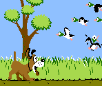 Vs Duck Hunt