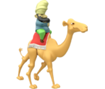 Camel Guy