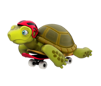 Skater Turtle