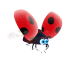 Flying Ladybug