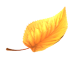 Leaf Yellow