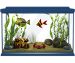 Aquarium