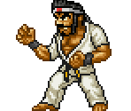 Kong Fu Warrior