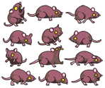 Rat