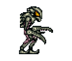 Space Pirates